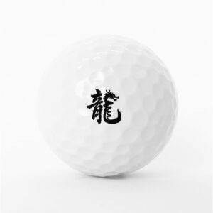 舞龍