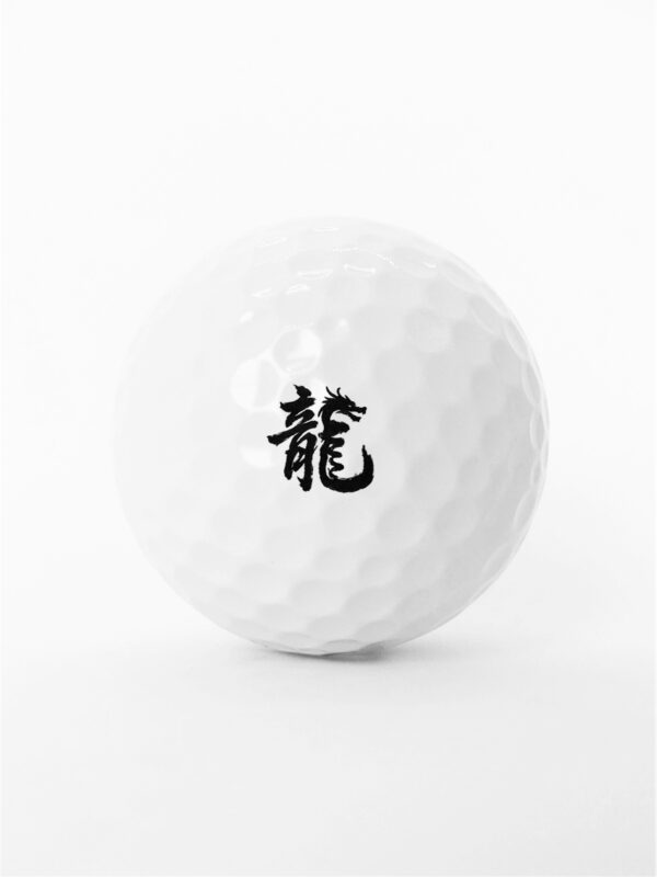 舞龍